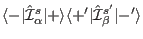 $\langle -\vert\hat \mathcal I_{\alpha}^s\vert+\rangle \langle +'\vert\hat \mathcal I_{\beta}^{s'}\vert-'\rangle$