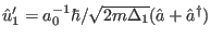 $\hat u_1'=a_0^{-1} \hbar/\sqrt{2m\Delta_1}(\hat a+\hat a^{\dagger})$