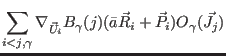 $\displaystyle \sum_{i<j,\gamma}\nabla_{\vec U_i} B_{\gamma}(j) (\bar a \vec R_i + \vec P_i)O_{\gamma}(\vec J_j)$